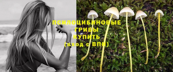 СК Волосово