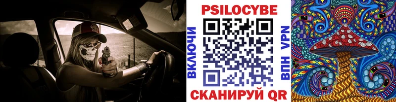 Купить где  Балаково  Галлюциногенные грибы Psilocybe 